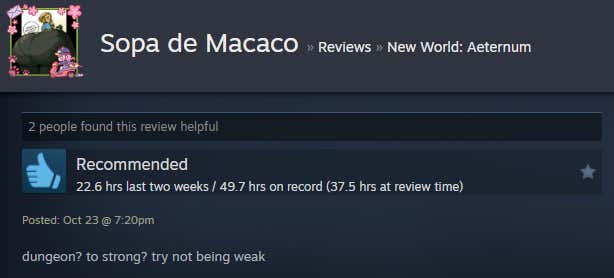 Image of the article titled New World: Eternal, as described in a Steam review